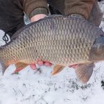 phoca_thumb_m_001 30 Fotogalerie